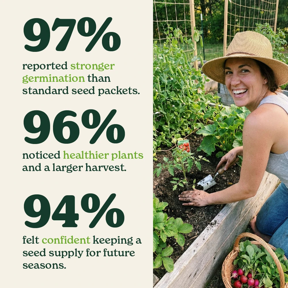 35-Variety Heirloom Vegetable Seed Vault Kit – image 6