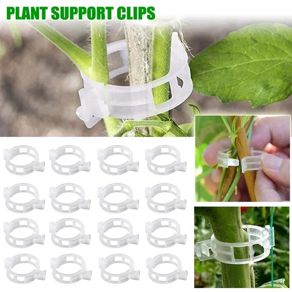 300 Pcs Plant Support Clips