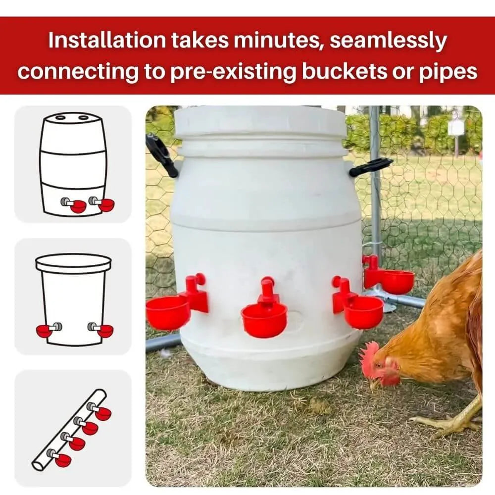 Automatic Chicken Waterer Cups 5 Pack