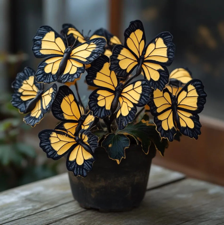 Moonlight Butterfly Begonia Seeds - 200 Count