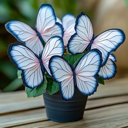 Moonlight Butterfly Begonia Seeds - 200 Count