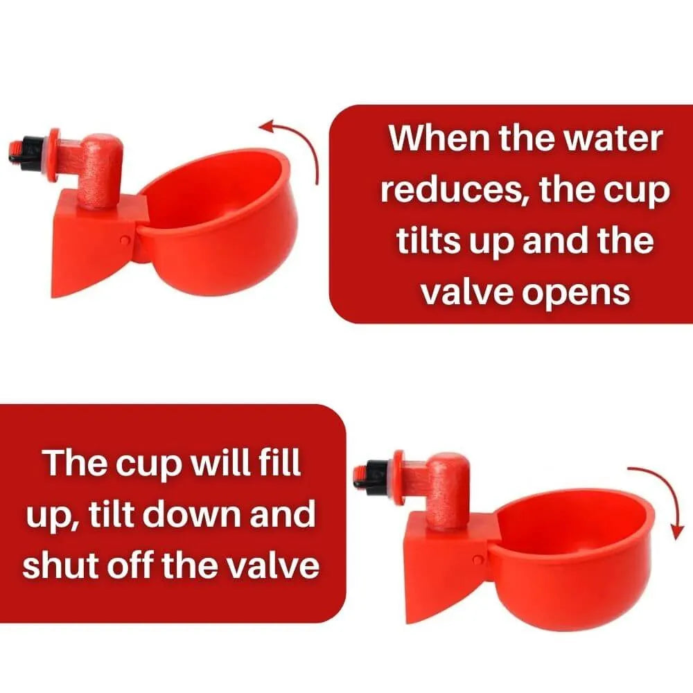 Automatic Chicken Waterer Cups 5 Pack