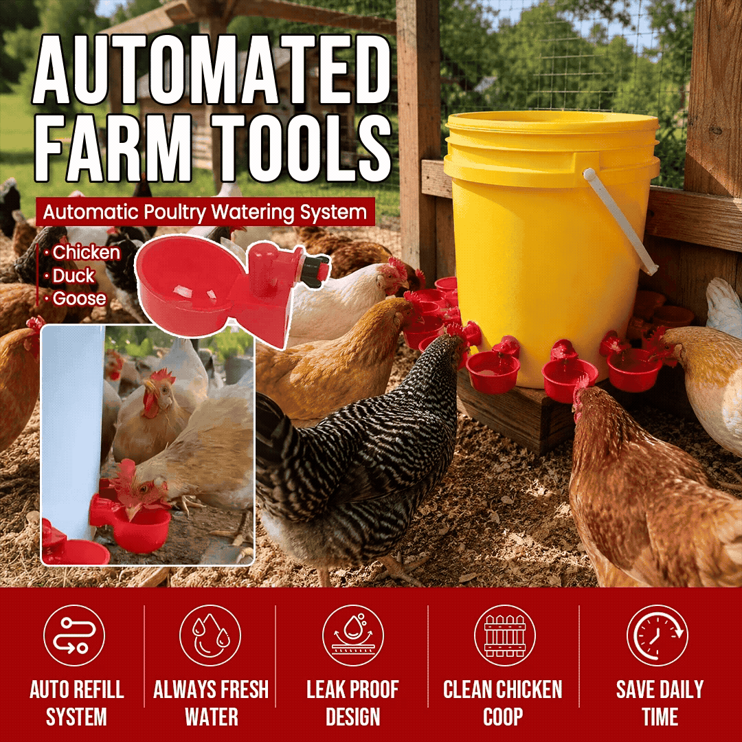 Automatic Chicken Waterer Cups 5 Pack