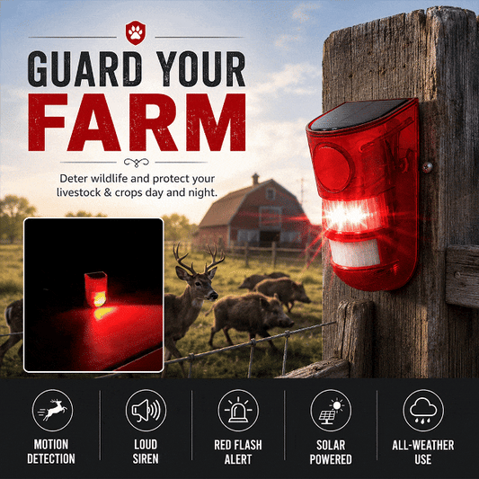 Solar Motion Sensor Detector Alarm with LED Light