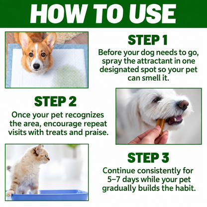 Dog Potty Training Attractant Spray – 30 ml