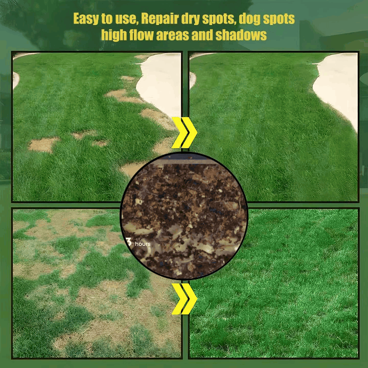 🌱3PCS  Evergreen Dwarf Grass Seed for Four Seasons| Durable. Vibrant Green All Year