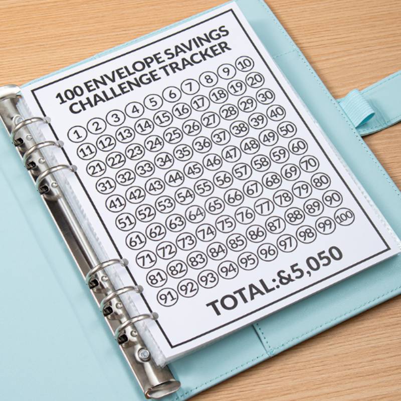 100-Envelope Savings Challenge Binder
