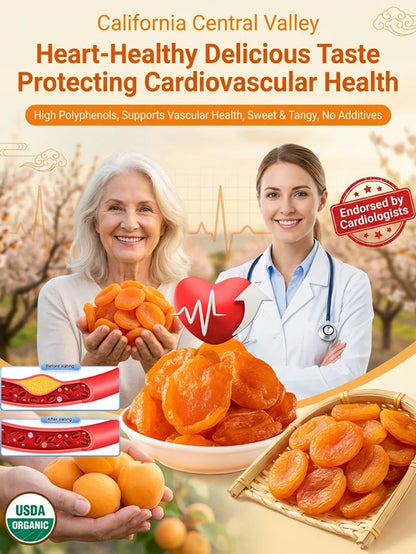 No-Sugar-Added Dried Apricots – 500 g Bag