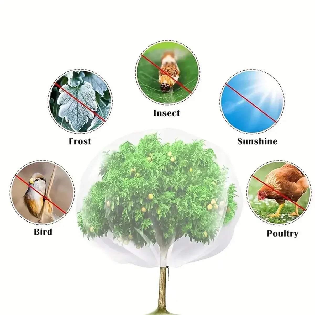 Fruit Tree Netting Cover with Zipper and Drawstring