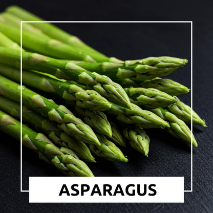 Perennial Asparagus 500 Seeds Set