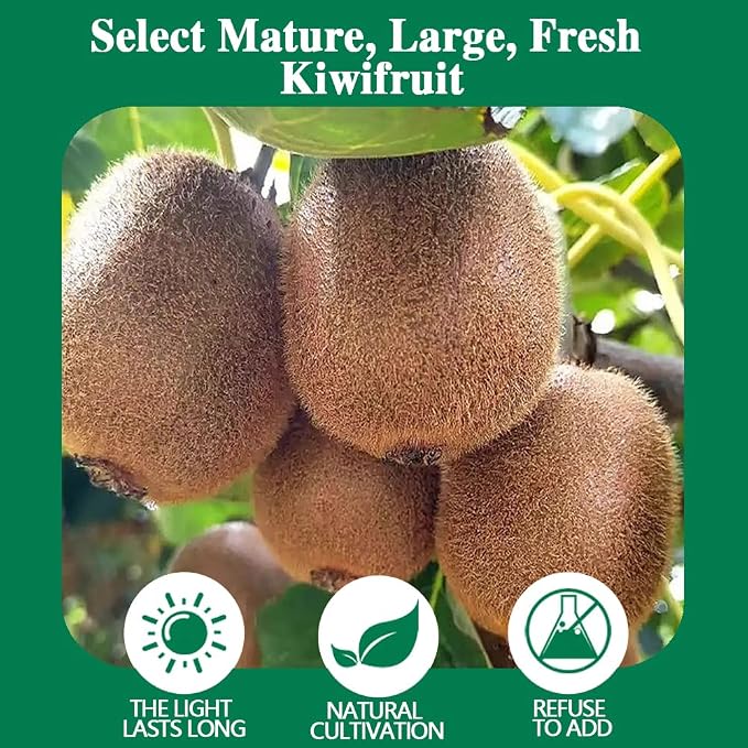100% Natural No Additives 500g Dried Kiwi Fruit