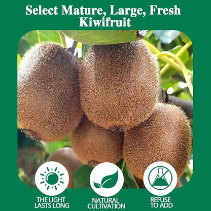 100% Natural No Additives 500g Dried Kiwi Fruit