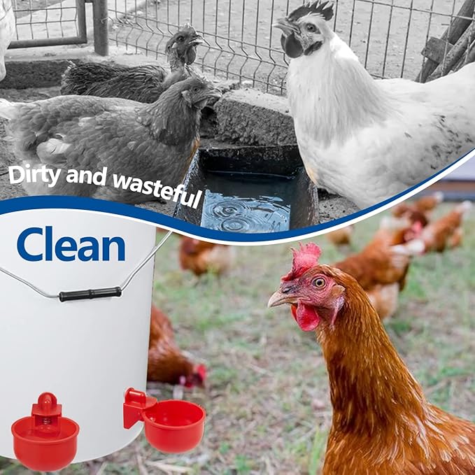 Automatic Chicken Waterer Cups 5 Pack