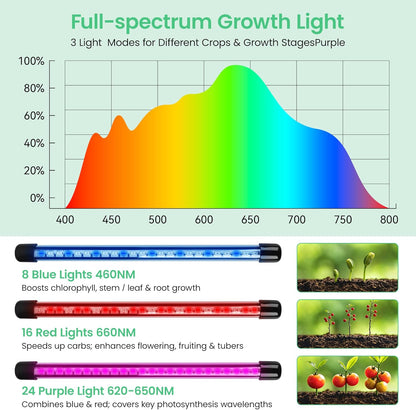 2-Pack Seed Starter Tray with Grow Light