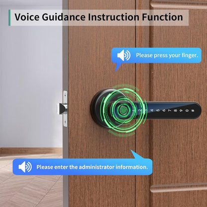 Fingerprint Smart Door Lock with Keypad & Handle