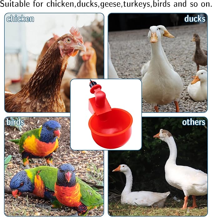 Automatic Chicken Waterer Cups 5 Pack