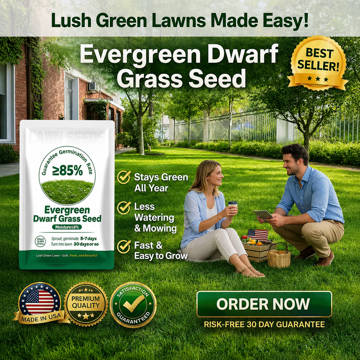 🌱3PCS  Evergreen Dwarf Grass Seed for Four Seasons| Durable. Vibrant Green All Year