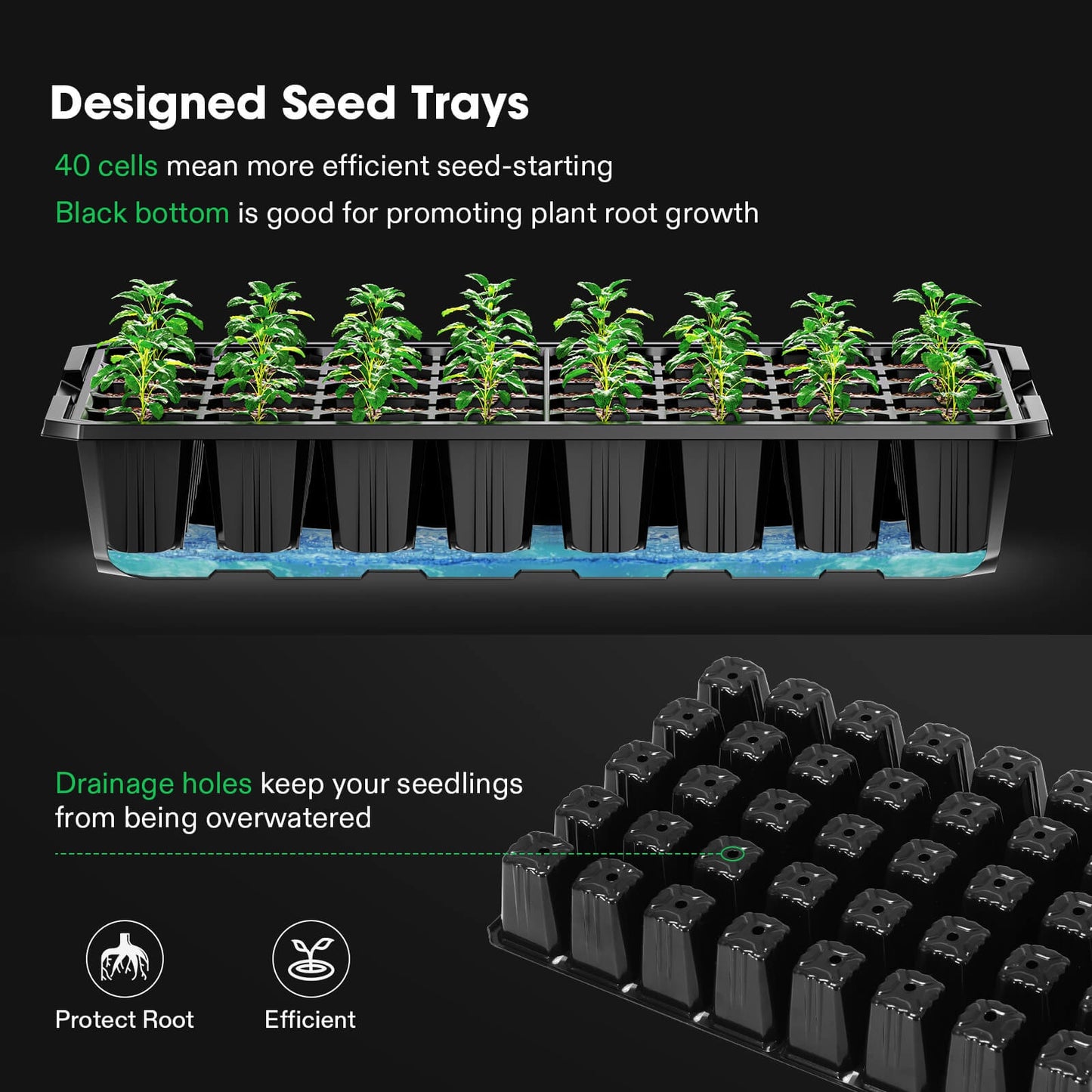 2-Pack Seed Starter Tray with Grow Light