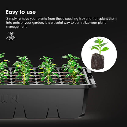 2-Pack Seed Starter Tray with Grow Light
