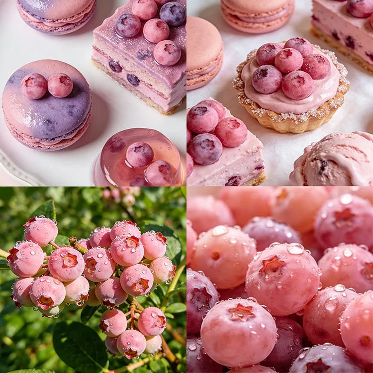 🔥50K+ SOLD!💟Premium Pink Blueberry Seeds -😋A Uniquely Delightful Taste(2 PCS-1000 seeds)