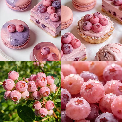 🔥50K+ SOLD!💟Premium Pink Blueberry Seeds -😋A Uniquely Delightful Taste(2 PCS-1000 seeds)