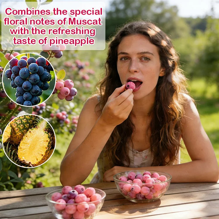 🔥50K+ SOLD!💟Premium Pink Blueberry Seeds -😋A Uniquely Delightful Taste(2 PCS-1000 seeds)