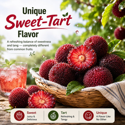 Giant Bayberry: Ping-Pong Ball Size, ⭐Strawberry-Cherry Fusion Flavor-100 Seeds