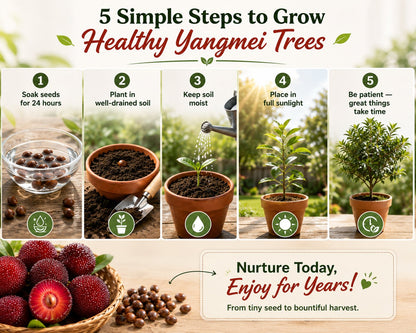 Giant Bayberry: Ping-Pong Ball Size, ⭐Strawberry-Cherry Fusion Flavor-100 Seeds