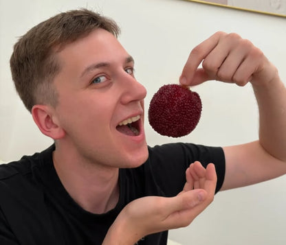 Giant Bayberry: Ping-Pong Ball Size, ⭐Strawberry-Cherry Fusion Flavor-100 Seeds