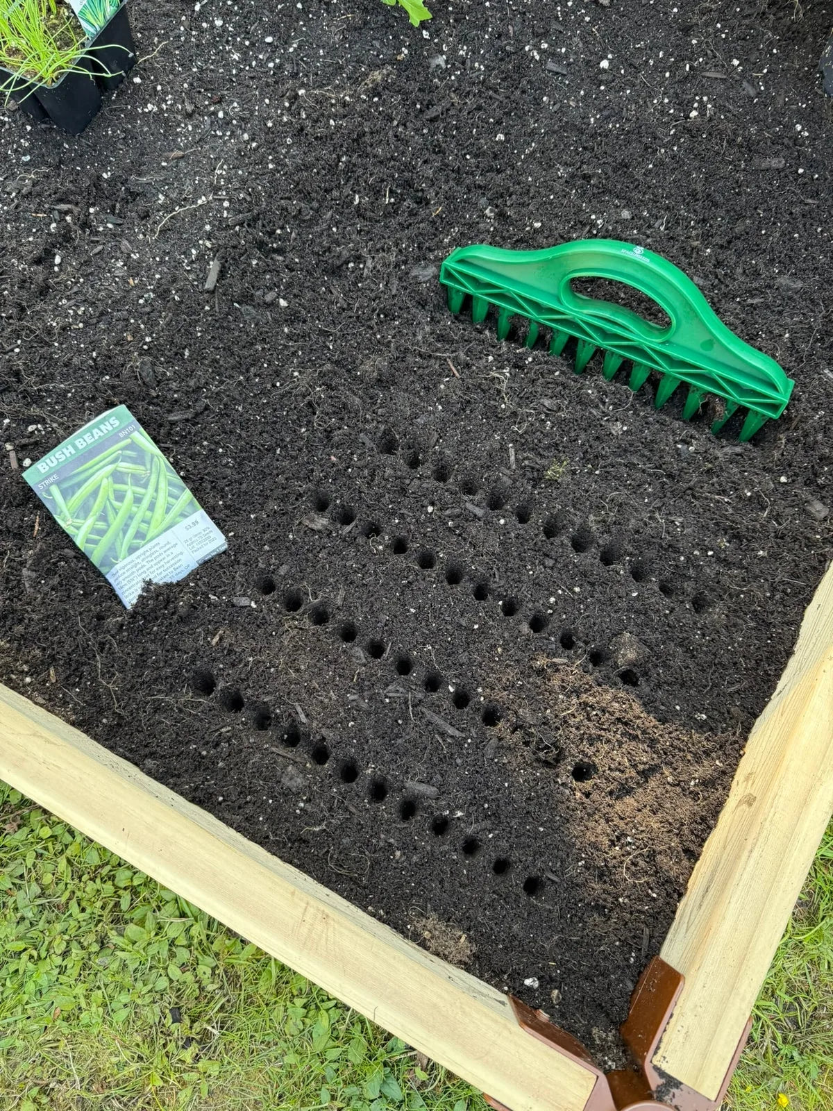 12-Hole Garden Seed Spacing Dibbler