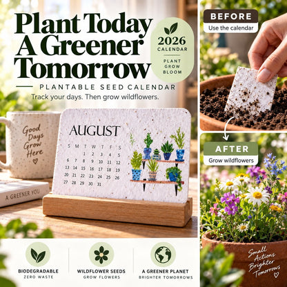 2027 Plantable Seed Calendar with Display Stand