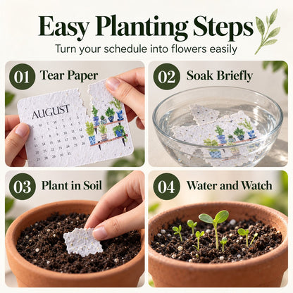 2027 Plantable Seed Calendar with Display Stand