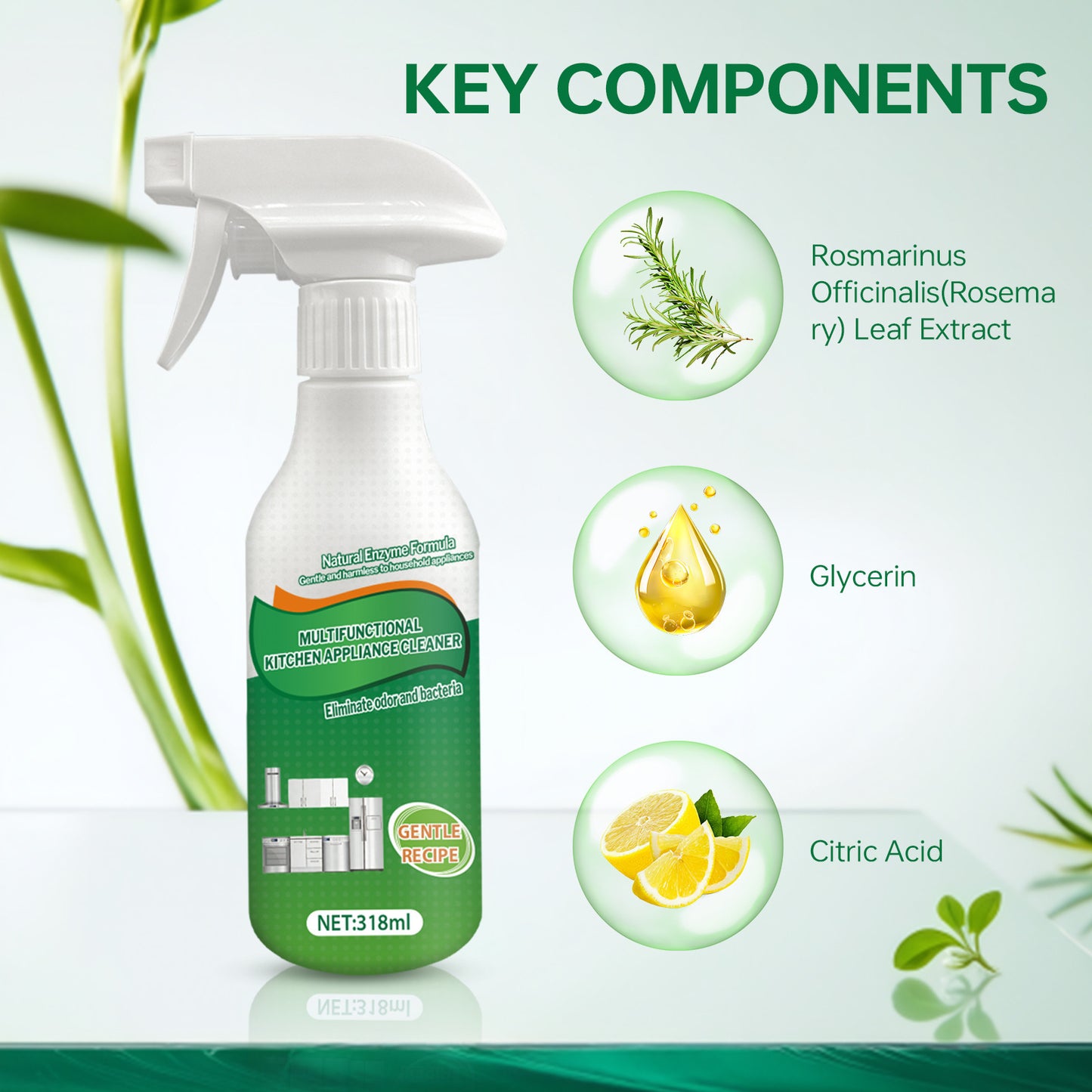 Multi-Purpose Kitchen Appliance Cleaner