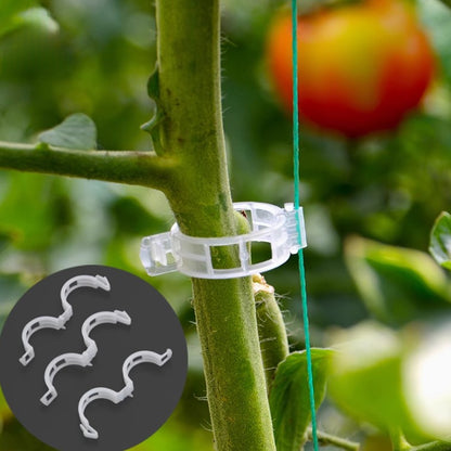 300 Pcs Plant Support Clips