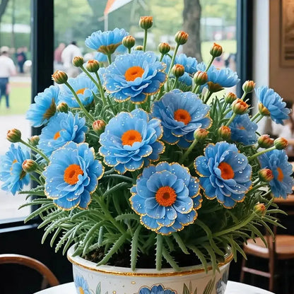 Double Portulaca Flower Seeds – 10,000 Seed Pack - image 3