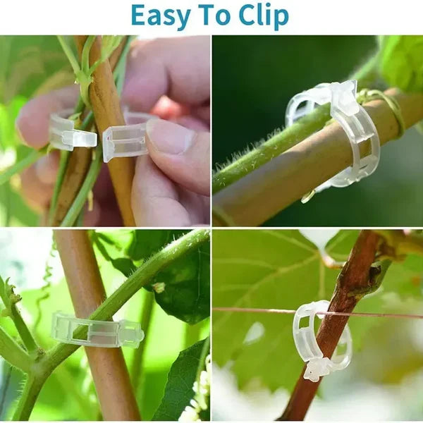 300 Pcs Plant Support Clips