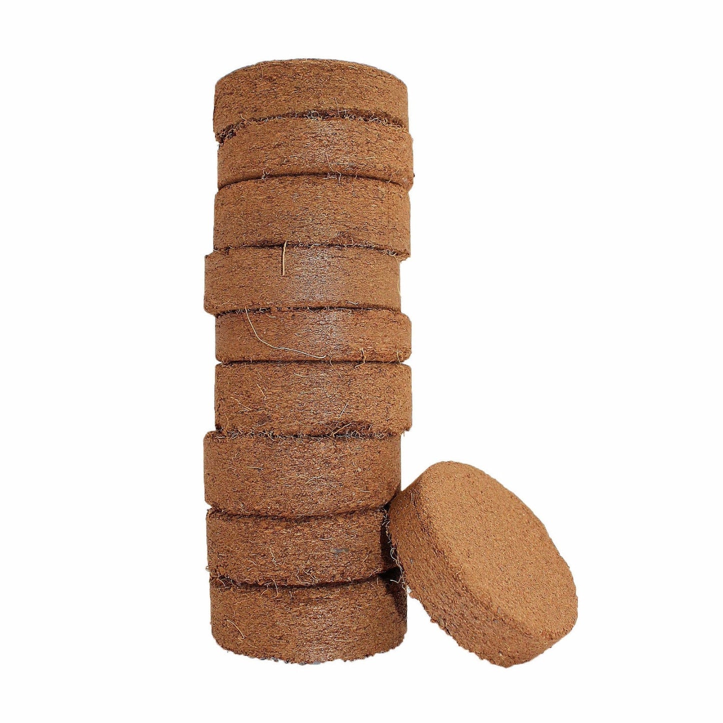 Coco Bliss -  Coco Coir Discs