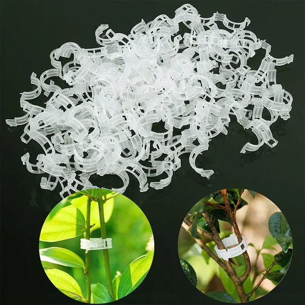 300 Pcs Plant Support Clips