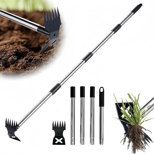 Dual Weeding Hoe with Long Handle