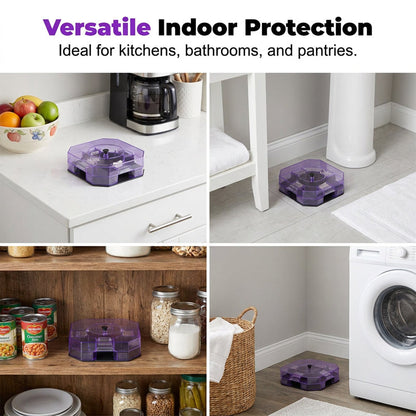 Reusable Effective Roach Trap 2 Pack