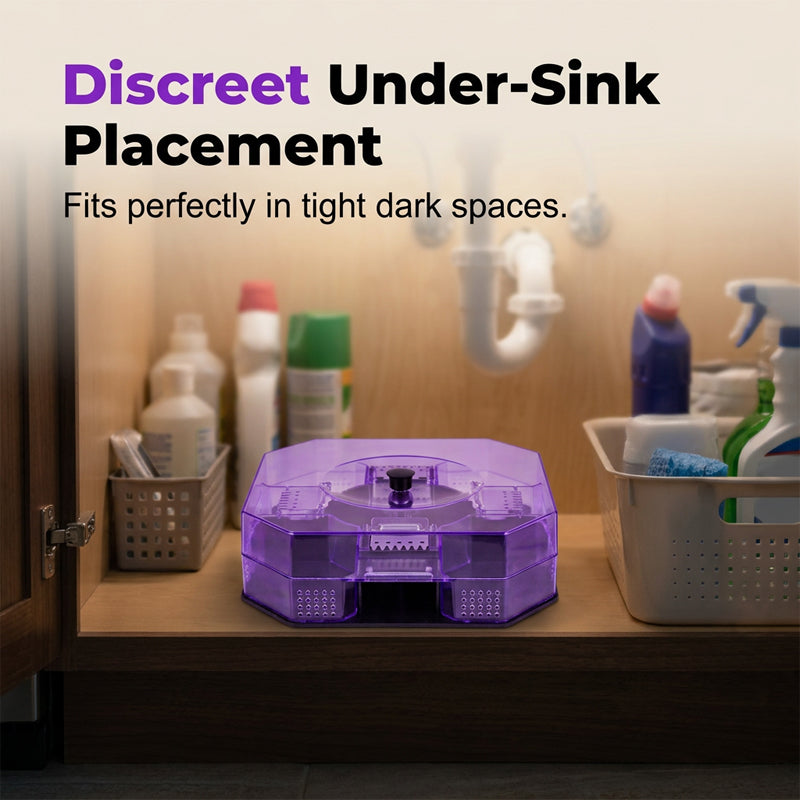 Reusable Effective Roach Trap 2 Pack