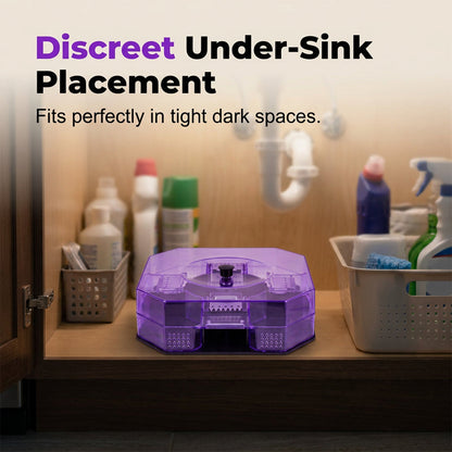 Reusable Effective Roach Trap 2 Pack