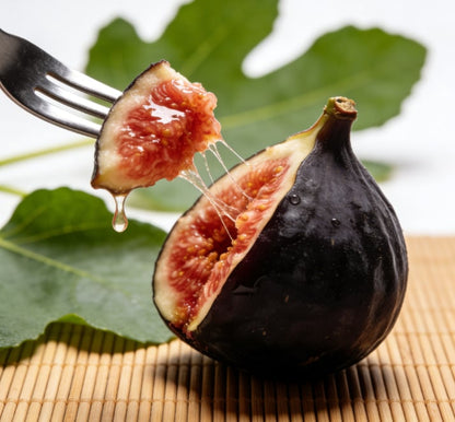 Bordeaux Purple Fig Seeds – 200 Count - image 2
