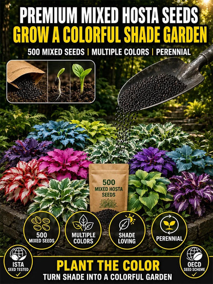 Mixed Hosta Seeds Collection – Perennial Shade Garden Seeds (500 Seeds)