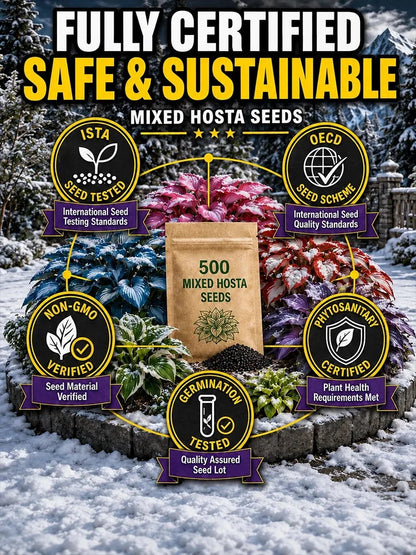 Mixed Hosta Seeds Collection – Perennial Shade Garden Seeds (500 Seeds)