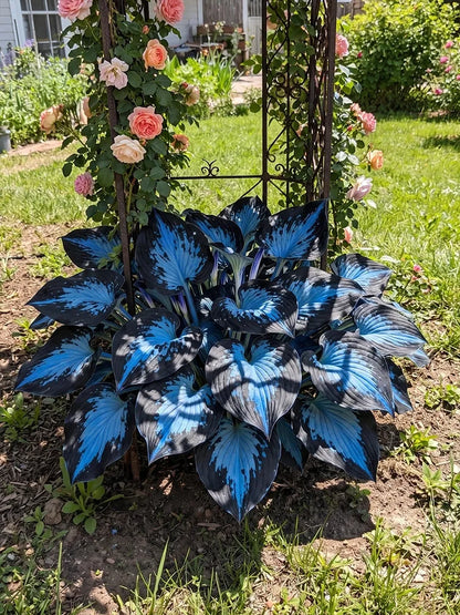 Mixed Hosta Seeds Collection – Perennial Shade Garden Seeds (500 Seeds)
