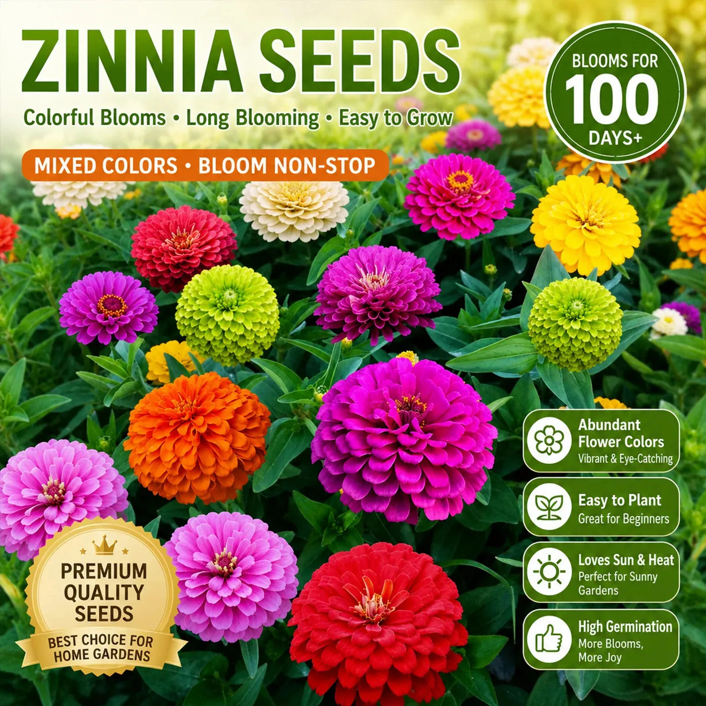 Mixed Zinnia Seeds – 600-Seed Three-Pack – product image 1
