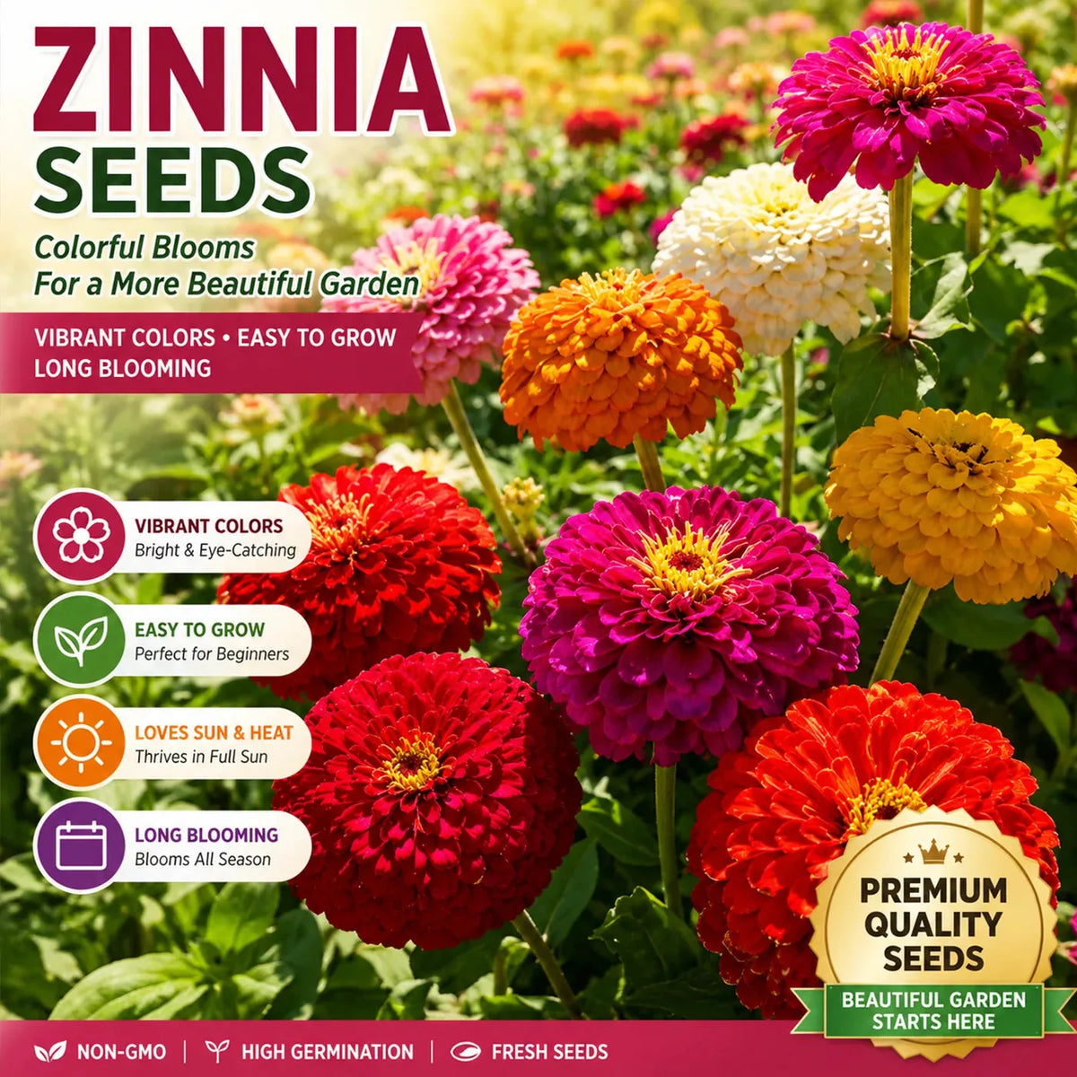 Mixed Zinnia Seeds – 600-Seed Three-Pack – product image 4