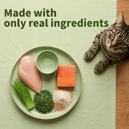 Mint Cat Grass Treats – 13.4 oz – product image 5